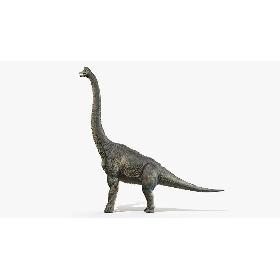 3D Brachiosaurus